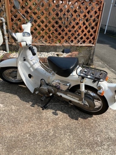 リトルカブ　ホワイトスペシャル限定版