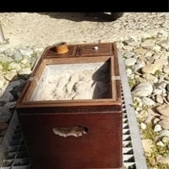 ゴトクの画像