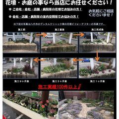 🌸ガーデニング専門店と花と緑に囲まれた花カフェ☕の画像