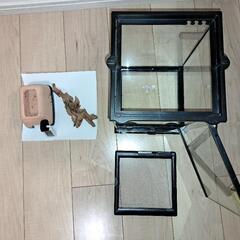 グラステラリウムナノ+付属品に里親の画像