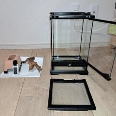 グラステラリウムナノ+付属品に里親の画像