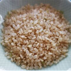 令和４年産「天日干し」コシヒカリ　1分づき（ほぼ玄米）　20Kg