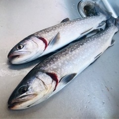 長野県の管理釣り場 - 友達