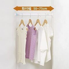 超強力 つっぱり棒🌱 長さ50~75㎝／耐荷重40~50㎏／白／平安伸銅工業 ＲＴＷ－７０の画像