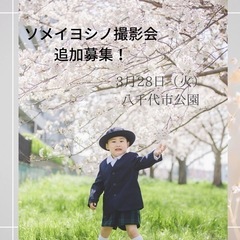 ソメイヨシノ撮影会