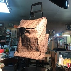 段差らくらく！保冷機能付き！お買い物キャリーバッグ　ブラウン