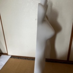 ハンガータイプ　半身トルソーの画像