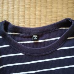 ボーダーカットソーの画像