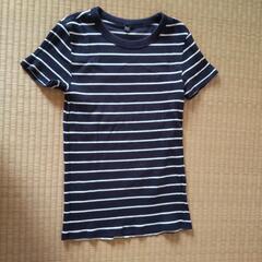 ボーダーカットソー