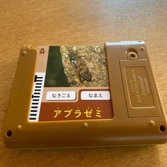 サムネイル