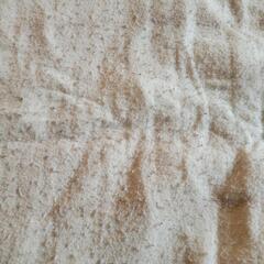 電気かけしき毛布の画像