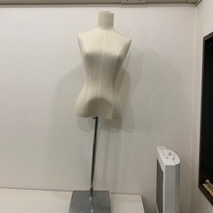 ウィメンズトルソー