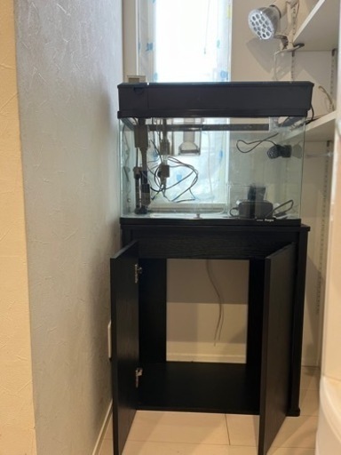 海水魚飼育セット