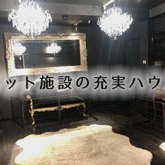 ワンちゃんの保育園・ホテル・老犬ホームで一緒にワンちゃんの御世話をしてくれる方、大募集！の画像