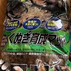 受け渡し予定決定育成マット　樹液ゼリー　ハエピタシートの画像