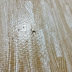 【取引相手決定】ジョイントマット　60x60 11枚　の画像