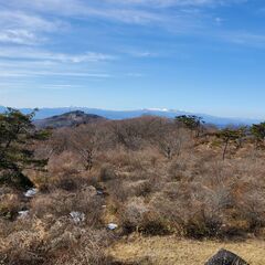 山友さんの募集