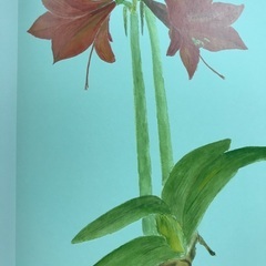 植物の本の画像