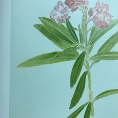 植物の本の画像