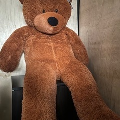 Fluffy Bear