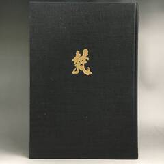 「図説　梵字　悉曇参究」徳山暉純 図説梵字 密教の壁 悉曇参究(徳山暉純) / 古本、中古本、古書籍
