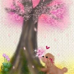 楽しかったでーす❗🌸今日夜お花見🌸