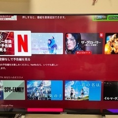 SONY 49X8300D 49V