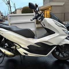 pcx125 jf81の画像