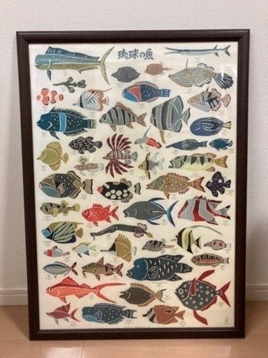 琉球の魚　ポスター　(額付き)