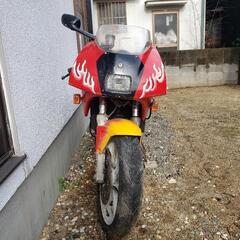 今では希少かもです。の画像