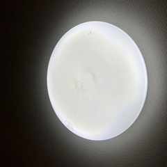 決定しました！LED シーリングライト　リモコン付き