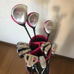 【美品】WORLDEAGLE レディースクラブセット（10本）