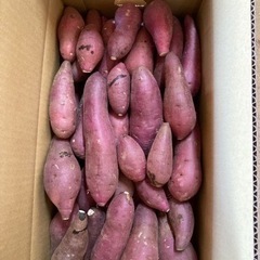 ⑤紅はるか　5キロ