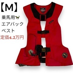 【取引中】乗馬用エアバック付きベスト　hit-air サイズ:M エアバックベストの画像