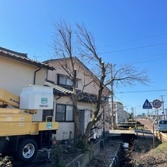 植木の困り事ならおまかせ 長岡 三条 新潟 安心の地元密着店 - 剪定/造園