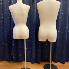 トルソー男女各一体の画像