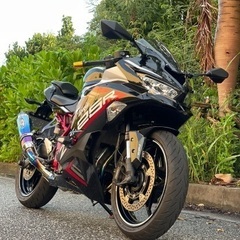 ninja ZX25R se