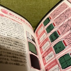 ポケットモンスタープラチナ　公式完全ガイドブックの画像