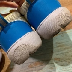 ベビー男女双子 靴  セット価格の画像