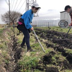 【埼玉県 宮代町】困ってる人に野菜を作って届けるボランティアメンバーを募集します！ - 春日部市