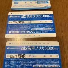 アイックス洗車プリカ2枚＋無料券