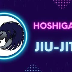 【格安】ブラジリアン柔術(BJJ)@鳥羽見コミュニティセンターの画像