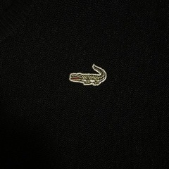 クロコダイル　ニットベストの画像