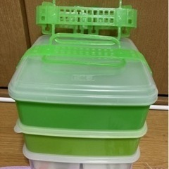 ピクニックランチbox