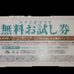 【決定】スタジオマリオ無料お試し券
