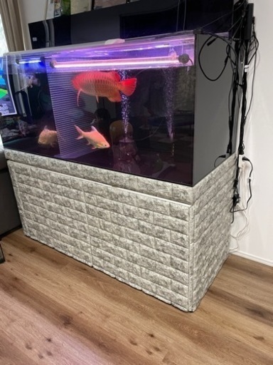 水槽台のみ、w1500x d600xh750中古木製水槽台