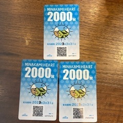 みなかみ商品券　6000円分　期限近いので