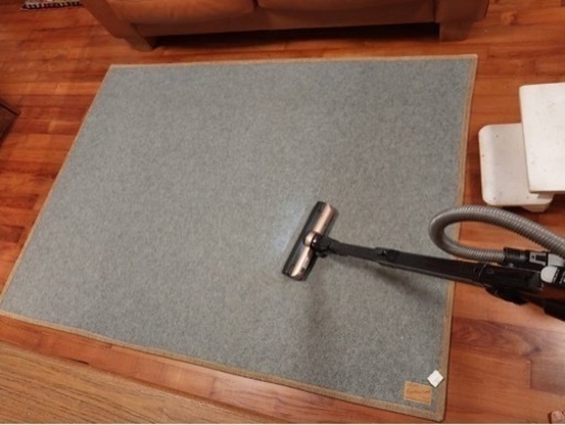 ACME Furniture ラグマット　比較的美品