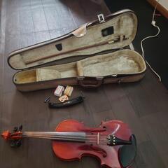 大人用バイオリン4/4初心者〜中級者向け　JAZZバイオリリニス...