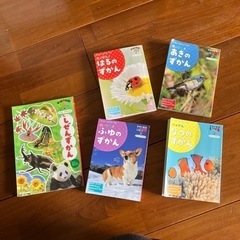 幼児用ずかん　5冊